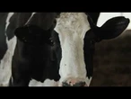 AGRO INFO | 27.08.2025 | TV Republika