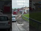 Reggio Emilia, si ribalta un camion carico di maiali: animali a zonzo