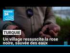 Turquie : un village ressuscite la rose noire, sauvée des eaux • FRANCE 24