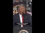 Trump e i festeggiamenti dei 250 anni dall'indipendenza americana: "Vi divertirete"