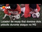 Lutador de muay thai contém dois pitbulls em ataque no MS