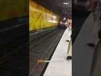 HAMBURG: Ente gut, alles gut! Entenfamilie legt die S-Bahn in Altona lahm! #shorts