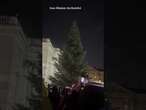 Christmas Tree Lighting Fail Disappoints Crowd in Dublin