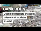 Cameroun : la plage de Down Beach à Limbé se meurt sous le poids des déchets • FRANCE 24