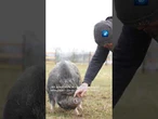 Als junger Mann war Markus rechtsextrem – heute bereut er das #tagesschau #nachrichten #ausstieg