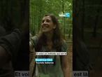 Des blobs de 500 millions d'années dans la toute dernière forêt sauvage d'Europe • FRANCE 24