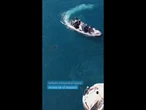 Varios delfines "reciben" a los astronautas atrapados nueve meses en el espacio #shorts