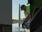 Trump's renovated reflecting pool turns green with algae