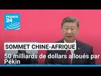 Sommet Chine-Afrique : 50 milliards de dollars alloués par Pékin • FRANCE 24