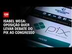 Isabel Mega: Oposição quer levar debate do pix ao Congresso | CNN NOVO DIA