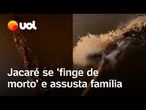 Jacaré se 'finge de morto' e assusta família ao 'reviver' em travessia no Pará; vídeo flagra momento