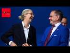 Merkel, Ukraine und Anfeindungen: 5 Gründe, warum die AfD so stark wurde