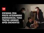 Espanha cria posto veterinário emergencial para tratar animais após enchentes | CNN BRASIL