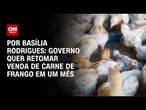 Análise: Governo quer retomar venda de carne de frango em um mês | LIVE CNN