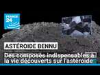 Espace : des composés indispensables à la vie découverts sur l'astéroïde Bennu • FRANCE 24