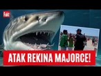 Alarm w turystycznym raju Polaków! CZY TO REKIN ZAATAKOWAŁ TURYSTKĘ? | Fakt