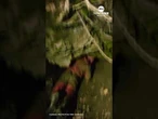 State Forest Rangers freed a man pinned for hours in a narrow cave crevice in upstate New York