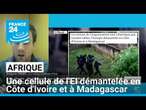 Une cellule de l'EI démantelée en Côte d'Ivoire et à Madagascar • FRANCE 24