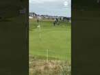 Dog decides to play fetch with golfer's ball