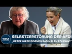 ZUKUNFT DER AFD: "Nur dann kann die AfD an der Seite der Union politische Regierungsmacht ausüben!"