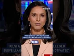Tulsi Gabbard has theory behind her alleged surveillance #shorts #us #news #foxnews #politics