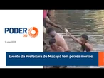 Evento da Prefeitura de Macapá tem peixes mortos
