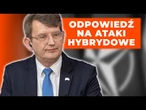 Artykuł 4 i Artykuł 5 NATO. Co oznacza atak dronów na Danię?