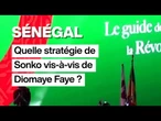 Sénégal : quelle stratégie de Sonko vis-à-vis de Diomaye Faye ? • FRANCE 24