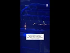Reggia di Caserta: in 10.000 cantano "Non dirgli mai", Gigi D'Alessio li accompagna al pianoforte