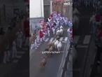 SPANIEN: Blutige Stierhatz in den Gassen von Pamplona! Verletzte und Proteste #shorts