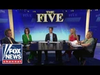 'The Five': California CAT FIGHT...