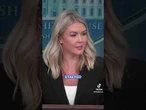 Karoline Leavitt responds if Musk's cuts led to Texas flooding