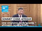 Sommet Chine-Afrique : une vingtaine de dirigeants africains reçus à Pékin • FRANCE 24