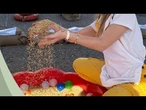 Festival du riz de l'UE : les producteurs européens peinent à faire face à la concurrence asiatique