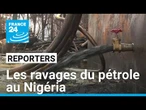 Nigéria : sauver les mangroves du delta du Niger • FRANCE 24