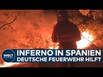 SPANIEN IN NOT: Gefährliche Mission - Deutsche Feuerwehrmänner starten Kampf gegen Mega-Waldbrände