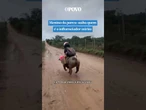 Menino da porca: saiba quem é o influenciador mirim que viralizou #shorts #shortvideo #viralvideo