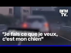 En Belgique, un homme est accusé d’avoir tué son chien en le traînant sur plusieurs mètres