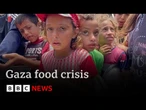 Call for arms embargo on Israel as Gaza’s children face starvation | BBC News