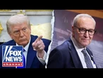 Chuck Schumer just wrote this for Republicans: Lisa Boothe