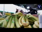 Adiós a los plátanos marrones: científicos desarrollan una banana que no se oscurece I VDD