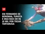 Turista toca tartaruga e é multada em R$ 10 mil em Fernando de Noronha | CNN ARENA