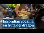 Incautados 165 kilos de cocaína camuflados en fruta del dragón en Madrid