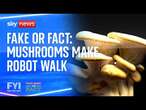 Fake News or Fact: Mushroom powered robots