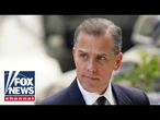 These witnesses did a lot of damage to Hunter Biden: Former DA Phil Holloway