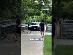 WATCH: Police officer couldn't resist poking fun at an oblivious dog walker