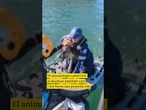 Un kilómetro nadando hacia la isla: El perro rescatado que sobrevivió en Australia