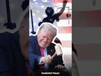 Gewaltenteilung in den USA: Steht Trump vor einer „allmächtigen Präsidentschaft“?