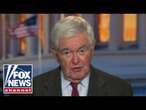 Newt Gingrich: The left is 'confronting a terrifying reality'