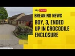 Toddler in critical condition after crocodile enclosure incident - what we know so far